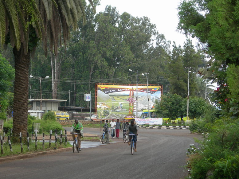 잘 정돈된 바하르다르 시내. 지대가 낮기 때문에 많은 사람들이 자전거를 교통수단으로 이용하고 있다.