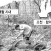 “제주 허파 곶자왈 보호하자”