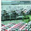 올 車 수출 사상 첫 400억弗 돌파
