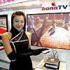 [2006하반기 소비자만족 히트상품] 하나로텔레콤 ‘하나TV’