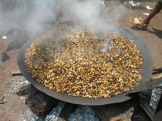 옥수수 낟알을 볶는 모습. 축제나 명절에는 다들 둘러 앉아 볶은 옥수수를 먹으면서 이런저런 담소를 나눈다. 와인을 곁들이기도 한다. 옥수수는 에티오피아 말로 ‘보꼴로’.