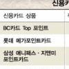 ‘포인트 카드’ 전성시대