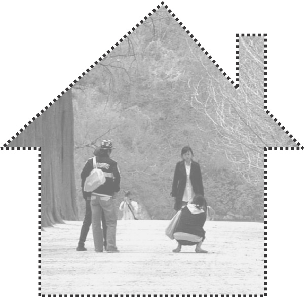 최근 집안 환경 개선을 위해 공기정화 장치와 식물에 관심이 높아지고 있지만 정작 중요한 것은 매일 두 차례 이상 창문을 열어 공기를 바꿔주는 자연환기다. 조금만 부지런하면 새집 증후군을 막을 수 있다. 사진은 남이섬 메타세쿼이아 숲길의 전경을 그래픽 처리한 것. 서울신문 포토라이브러리