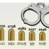 국내체류 외국인 범죄건수 선진국이 개도국보다 많아