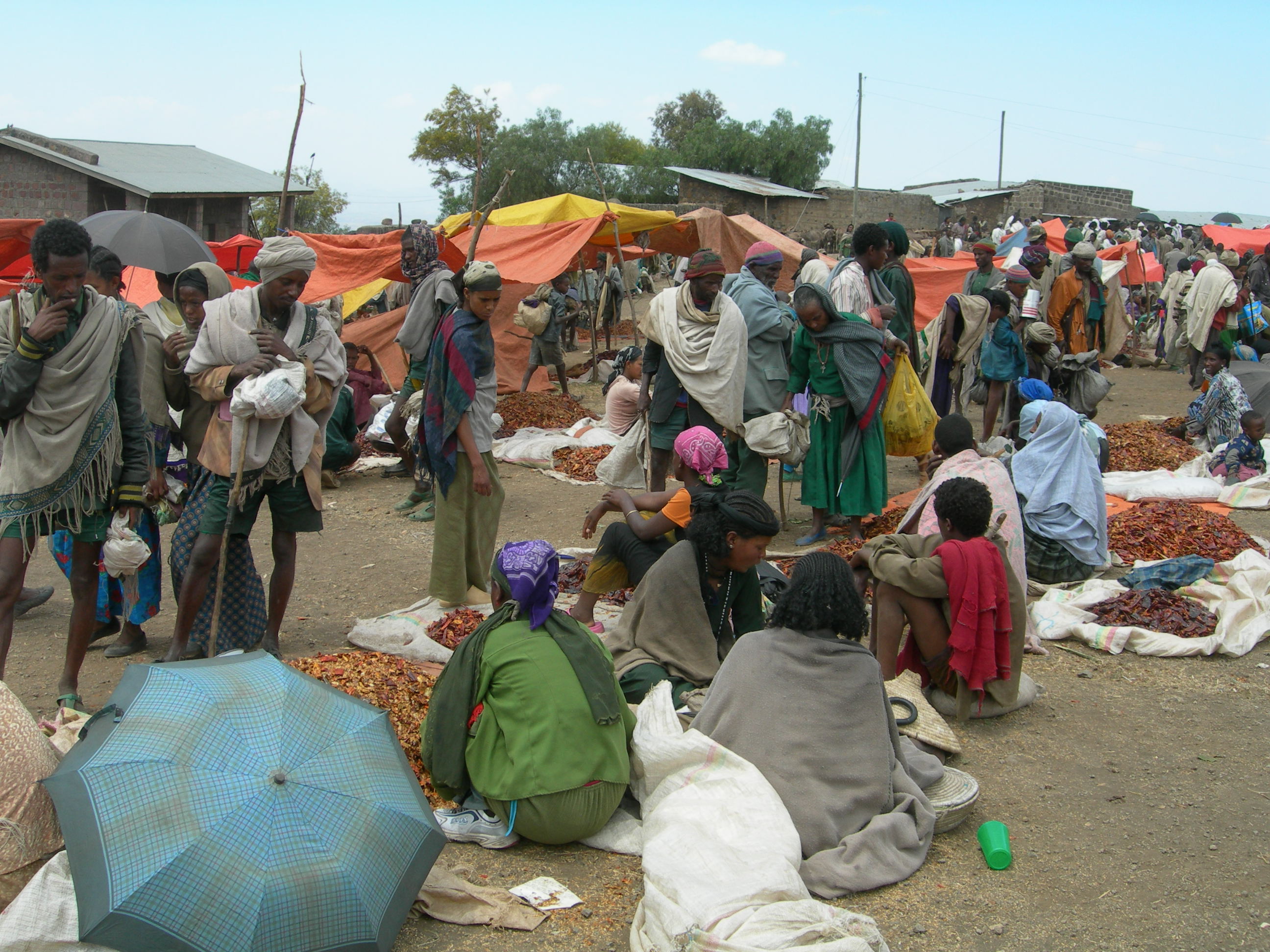 이곳에서 ‘버르버레이’라고 부르는 고추를 파는 곳이다. 에티오피아 사람들도 한국 사람들처럼 고춧가루를 먹는다. 뜨거운 햇빛에 널어 말린 태양초가 이곳에도 있다.