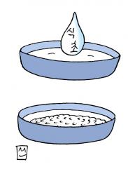 [생활의 지혜] 묵은 쌀 냄새제거