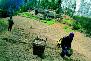 농삿일을 하느라 눈코 뜰새 없이 바쁜 친씨부부. 중경신보