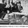 [서울대공원 동물원에 가보았지] (22) 복제늑대 10일째 단식투쟁