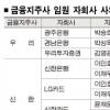지주사법- 증권법 배치 논란