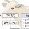 발암 다이옥신 검사 안한다