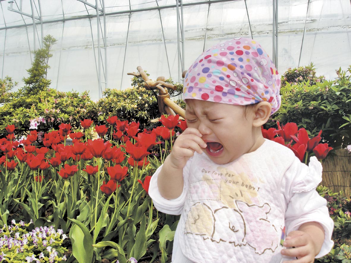 담양대나무축제를 찾은 우리 딸. 꽃과 함께 사진을 찍으려 했더니 저렇게 울면서 촬영거부를 하네요 (박진백·전남 순천시 장천동)