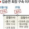 [김승연회장 구속 수감] 향후 수사방향