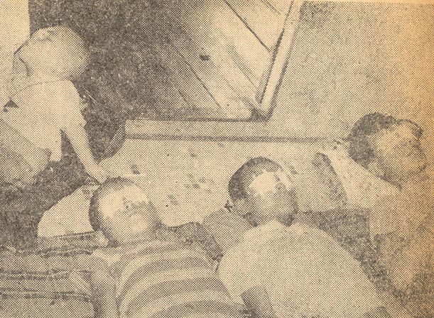 수술을 받고 누워있는 4형제.