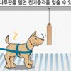 [김미라 교수의 부모들을 위한 교육특강] (8) 학습된 무기력,가면 쓴 우울증