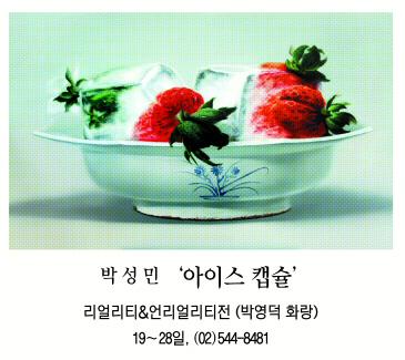 [그림과 詩가 있는 아침] 설중매/김정원