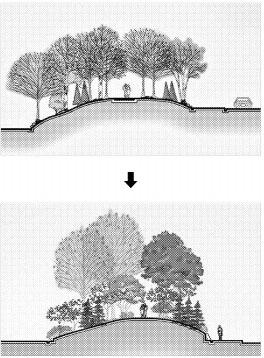큰나무 작은나무 사이좋은 생태숲