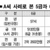 무엇이 성적변조 불렀나