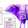 [단독]쇠갈비, 앞·중간·뒷갈비로 세분화