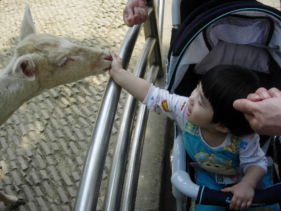 사슴아~ 맛있지!