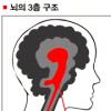 [김미라 교수의 부모들을 위한 교육특강] (20) ‘어머니’와 ‘마더’의 차이