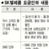 SKT 망내통화 새달부터 50% 할인