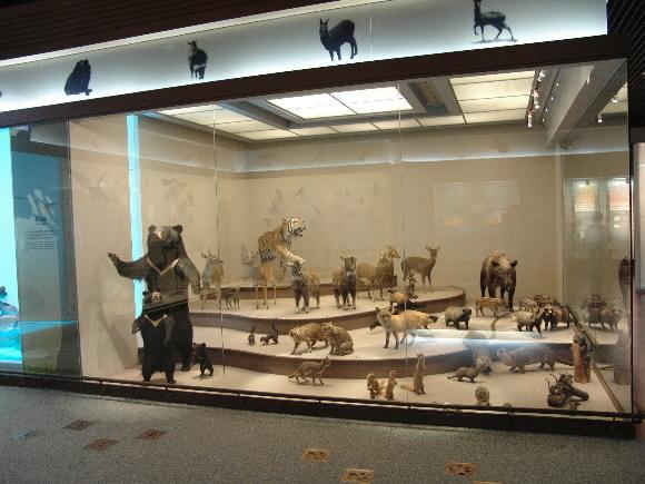 육상포유류 전시관