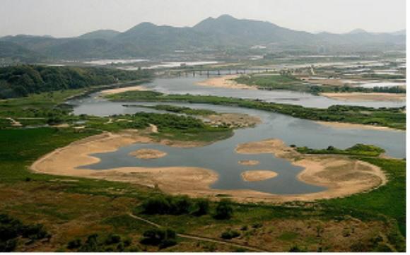 생태계 복원 실패 사례로 꼽히는 대구 달성 습지공원. 생태계를 복원하기 위해 60㏊의 습지를 조성했으나 비전문가가 시공하는 바람에 식물이 말라죽는 등 생태계가 되레 훼손돼 공사를 중단했다. 환경부 제공