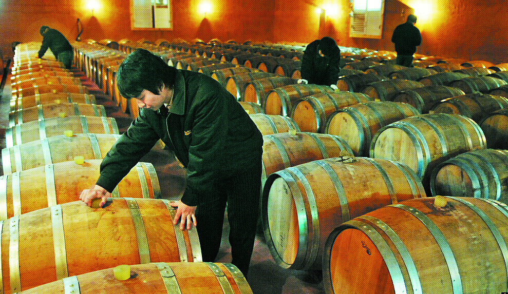 최적의 온도와 습도를 유지하고 있는 충북영동의 와인코리아 지하 숙성창고. 수 백개의 오크통에서 와인이 익어가고 있다.