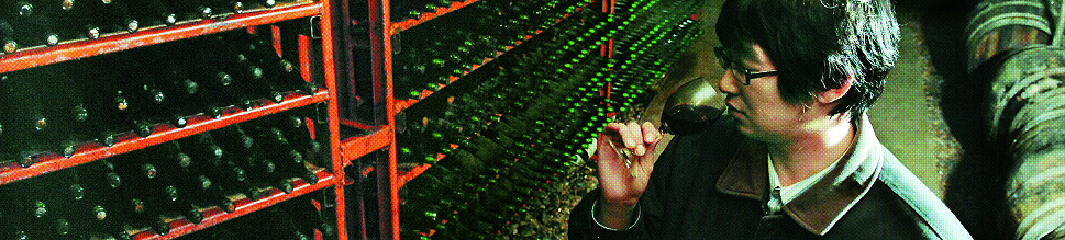 일제 강점기에는 탄약고로,6·25 때는 피란처로 사용됐던 지하 동굴을 개조해 만든 와인 저장고. 숙성이 끝나 병입된 와인들이 출시를 기다리고 있다.