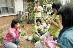 서울 신구로초등학교 어린이들이 지난 6월 텃밭교육에서 곤충의 역할을 알아보는 수업을 받고 있다. 풀무원 제공 