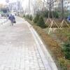 성동구, 청계천 방음벽 헐고 녹지 조성