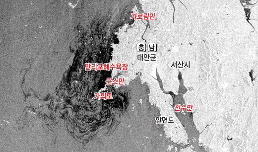 유럽 우주국의 위성 엔비셋이 11일(한국시간) 오전 10시40분에 찍은 태안 앞바다의 기름 오염 모습. 거대한 기름띠가 태안군 일대를 집어삼킬 듯한 형상을 하고 있다. ESA(유럽항공우주국) 제공