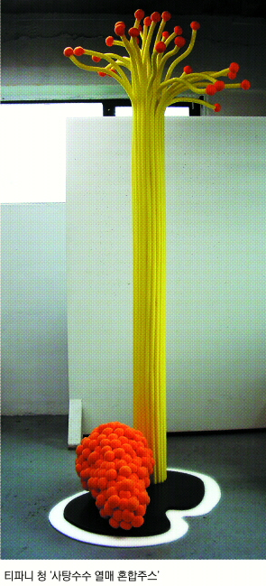 티파니 청 ‘사탕수수 열매 혼합주스’