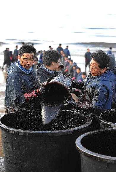 태안에서 검은 기름을 거두는 자원봉사자들. 서울신문 포토라이브러리