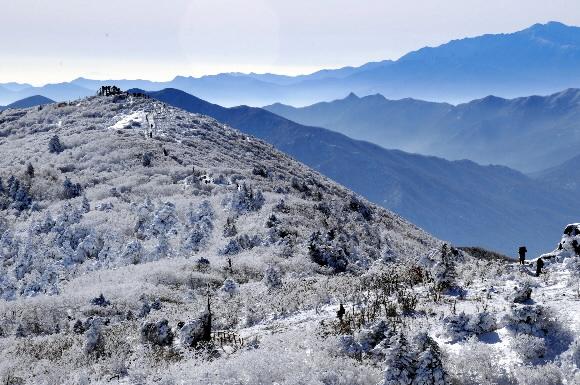 설화(雪花)가 장관을 이루고 있는 덕유산 향적봉 주변 풍광. 관광곤돌라를 이용하면 땀 한 방울 흘리지 않고 만날 수 있다.