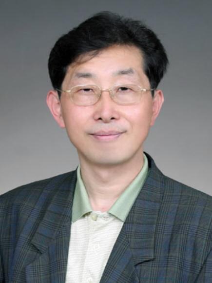 심경호 고려대 한문학과 교수