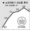 소비자물가 여전히 불안