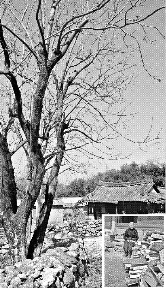 구룡폭포 등을 지척에 두고 있어 등산객들이 많이 찾는 고촌마을 풍경(왼쪽 큰 사진). 고촌에서 태어나 70년 넘게 살고 있는 정오분 할머니(작은 사진).