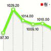 ‘이성태 효과’… 환율 970원대로 급락