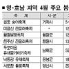 남녘의 4월은 봄꽃축제 세상
