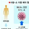 유럽 ‘키메라 금기’ 무너지나