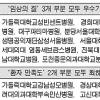 종합병원 평가 ‘눈가리고 아웅’