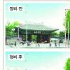 [Zoom in 서울] 서울 거리 ‘사람 중심’으로 리모델링
