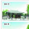 [Zoom in 서울] 서울 거리 ‘사람 중심’으로 리모델링