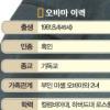 [美 최초 흑인 대선후보] 변화의 열망이 오바마 열풍으로