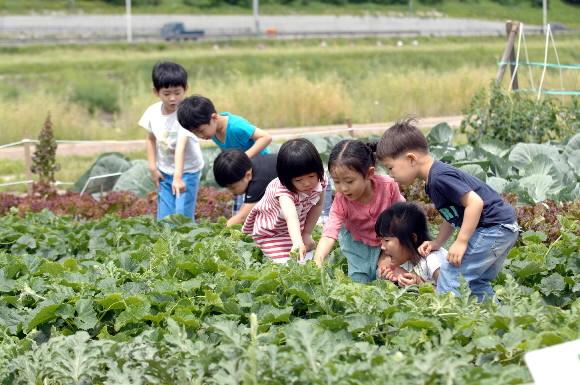 16일 중랑천 둔치에 만든 자연학습장에서 어린이들이 고추, 호박 등을 관찰하고 있다. 중랑구는 장안교 북단 둔치 2000㎡에 땅콩, 가지, 오이 등을 가꿀 수 있는 텃밭과 원두막을 만들었다. 중랑구 제공