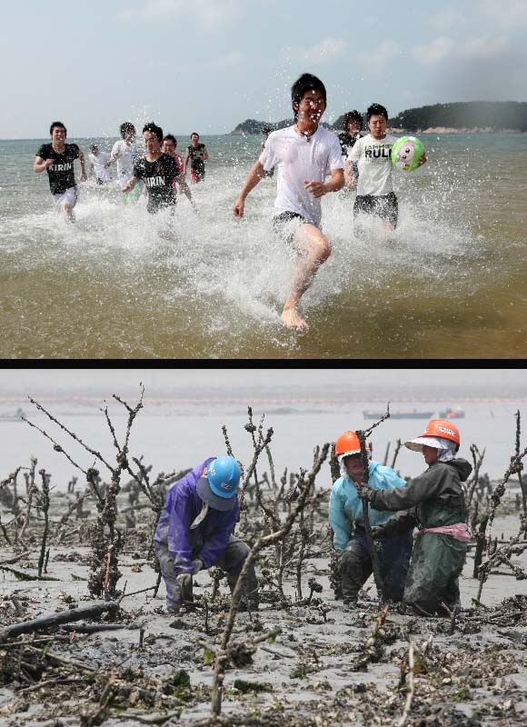 기름유출사고 발생 200일째를 맞은 23일 충남 태안 만리포해수욕장을 찾은 어린이들이 물놀이를 하며 여름바다의 정취를 만끽하고 있다(사진 위). 하지만 주민들이 기름에 오염된 굴양식장 잔해를 철거하는 모습(사진 아래)에서 아직 가시지 않은 당시의 상처가 느껴진다. 태안 연합뉴스