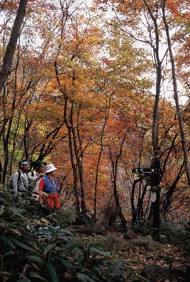 새재와 유평에서 올라온 길이 만나는 삼거리.근동에서 천왕봉으로 오를 수 있는 유일한 길이다.
