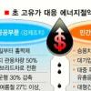 ‘공공 승용차’ 15일부터 홀짝제