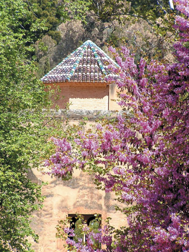 아하메드 왕자가 살았던 것과 비슷한 헤네랄리페 정원의 탑